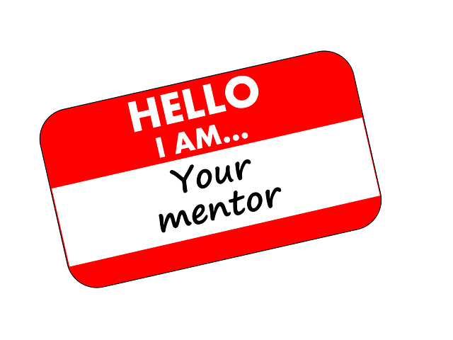 A mentor can make you successful